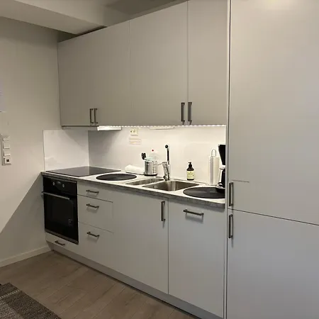 Apartamento New Modern In Centrum Bergen