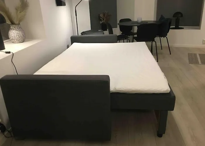 Modern - Steps From Grieghallen And Trainstation