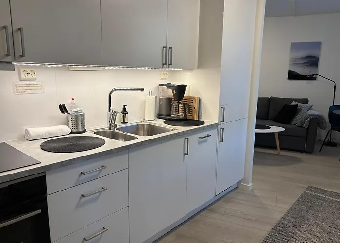 Apartman Modern - Steps From Grieghallen And Trainstation *