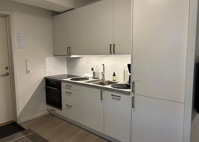Apartman Modern - Steps From Grieghallen And Trainstation Bergen