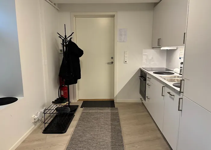 Apartman Modern - Steps From Grieghallen And Trainstation